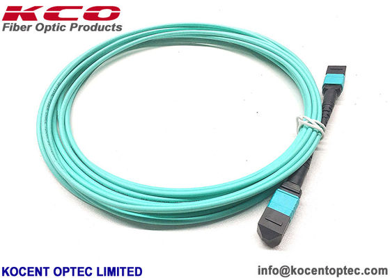 OM3 OM4 12fo 24fo 50/125 MPO MTP Patch Cord MPO Trunk Cable for Data Center