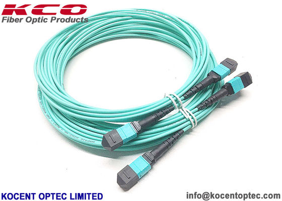 OM3 OM4 12fo 24fo 50/125 MPO MTP Patch Cord MPO Trunk Cable for Data Center