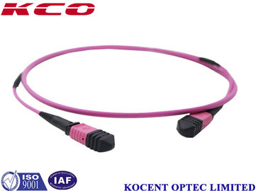 0.2dB Insertion Loss OM4 LSZH MPO MTP Trunk Cable 50/125 Multimode MPO MTP Patch Cord