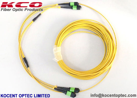 MPO APC 24fo 48cores G657A1 एलीट इंसर्शन लॉस एमटीपी फाइब्रा ऑप्टिका ट्रंक पैच केबल